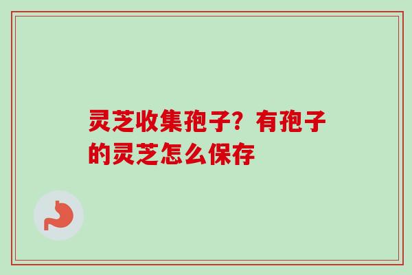 灵芝收集孢子？有孢子的灵芝怎么保存