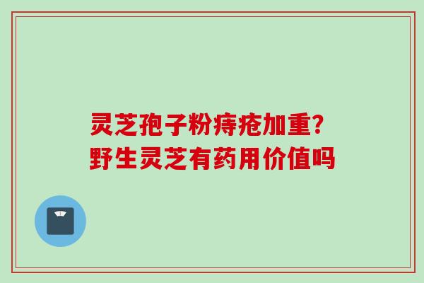 灵芝孢子粉痔疮加重？野生灵芝有药用价值吗