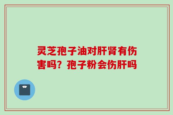灵芝孢子油对肝肾有伤害吗？孢子粉会伤肝吗