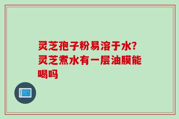 灵芝孢子粉易溶于水？灵芝煮水有一层油膜能喝吗