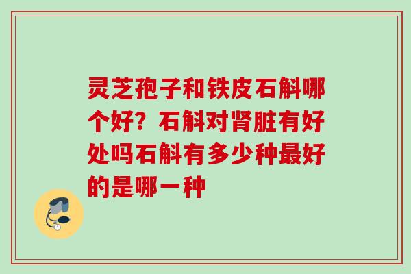 灵芝孢子和铁皮石斛哪个好？石斛对肾脏有好处吗石斛有多少种最好的是哪一种