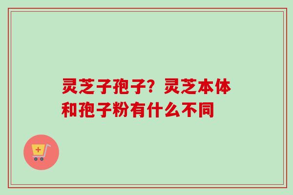 灵芝子孢子？灵芝本体和孢子粉有什么不同