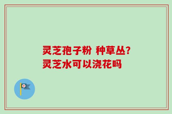 灵芝孢子粉 种草丛？灵芝水可以浇花吗