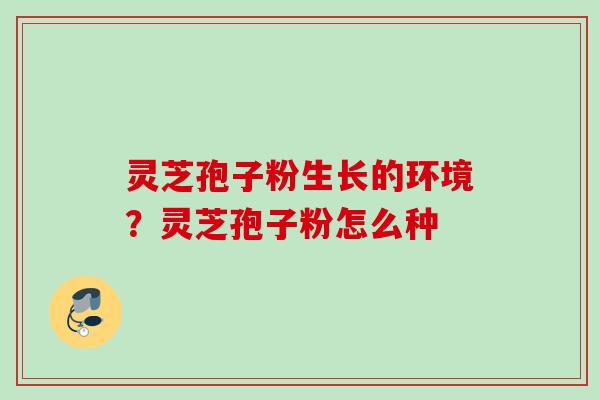 灵芝孢子粉生长的环境？灵芝孢子粉怎么种