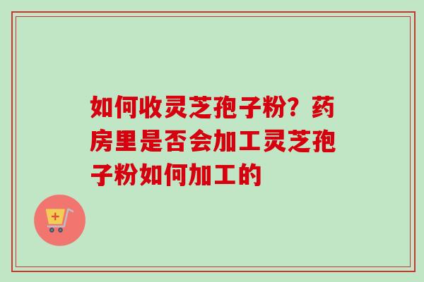 如何收灵芝孢子粉？药房里是否会加工灵芝孢子粉如何加工的