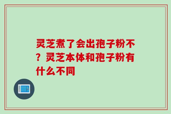 灵芝煮了会出孢子粉不？灵芝本体和孢子粉有什么不同