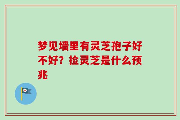 梦见墙里有灵芝孢子好不好?捡灵芝是什么预兆 梦见墙里有灵芝孢子好不好?捡灵芝是什么预兆