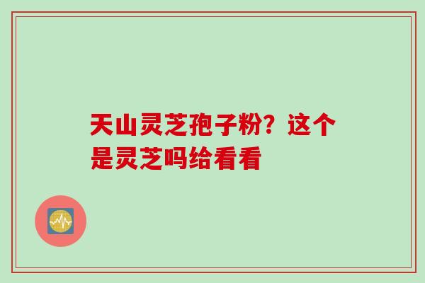 天山灵芝孢子粉？这个是灵芝吗给看看