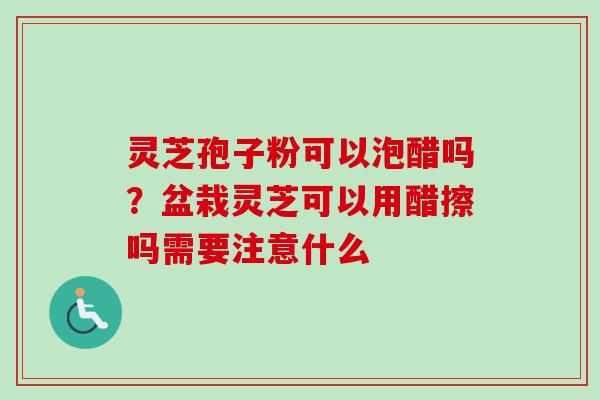 灵芝孢子粉可以泡醋吗？盆栽灵芝可以用醋擦吗需要注意什么