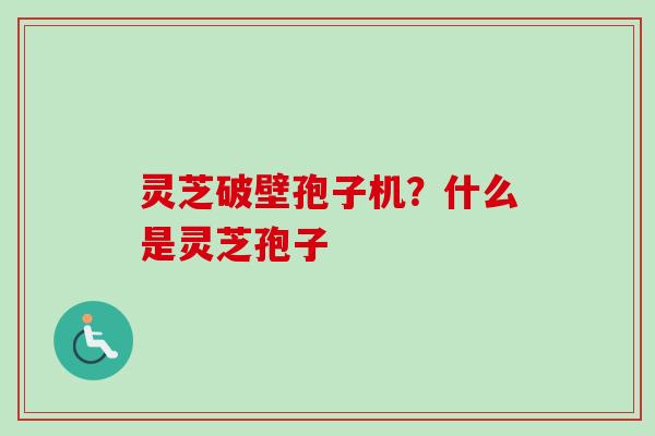灵芝破壁孢子机？什么是灵芝孢子