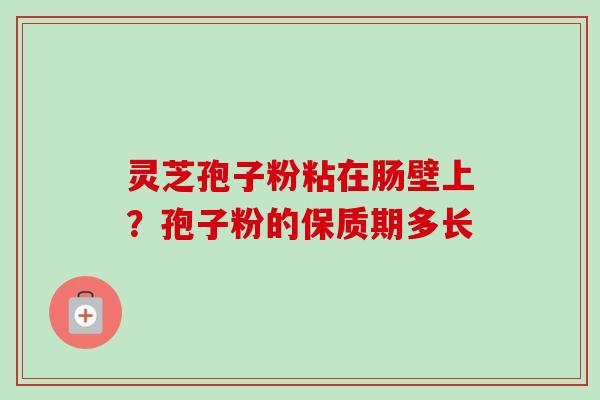 灵芝孢子粉粘在肠壁上？孢子粉的保质期多长