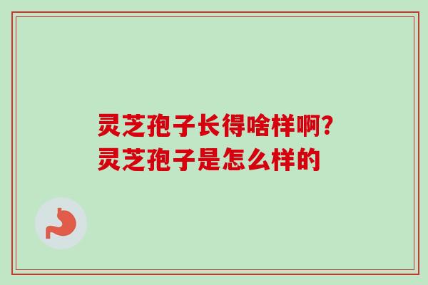 灵芝孢子长得啥样啊？灵芝孢子是怎么样的