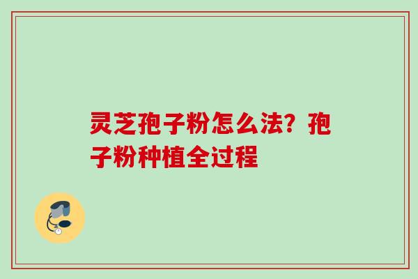 灵芝孢子粉怎么法？孢子粉种植全过程