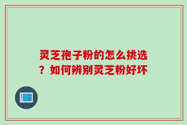 灵芝孢子粉的怎么挑选?如何辨别灵芝粉好坏 灵芝孢子粉的怎么挑选?如何辨别灵芝粉好坏