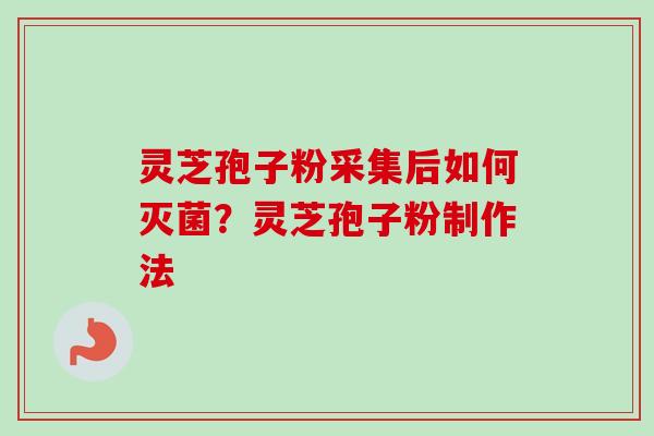 灵芝孢子粉采集后如何灭菌？灵芝孢子粉制作法