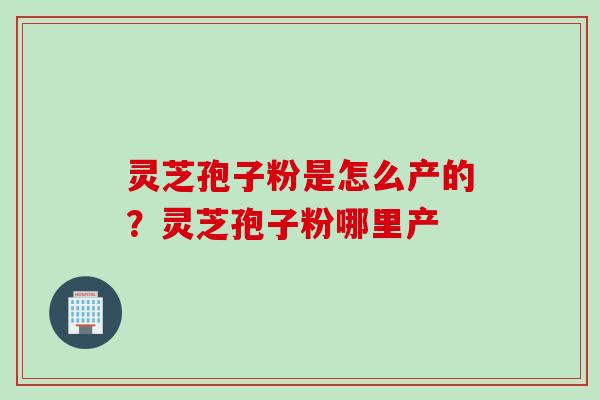 灵芝孢子粉是怎么产的？灵芝孢子粉哪里产
