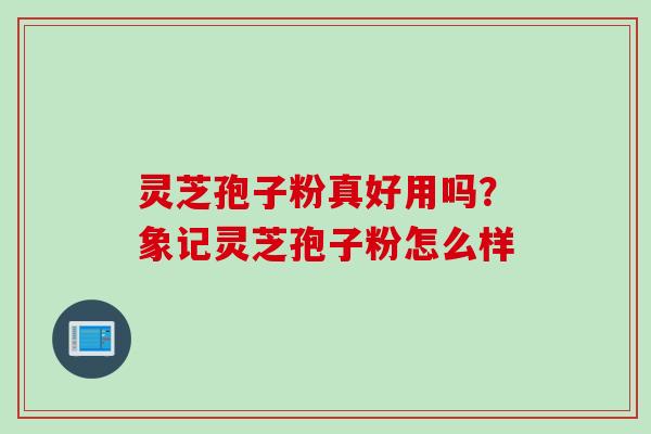 灵芝孢子粉真好用吗？象记灵芝孢子粉怎么样