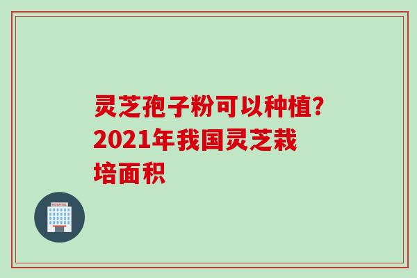 灵芝孢子粉可以种植？2021年我国灵芝栽培面积