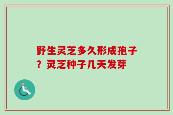 野生灵芝多久形成孢子？灵芝种子几天发芽