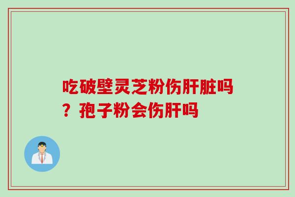吃破壁灵芝粉伤肝脏吗？孢子粉会伤肝吗