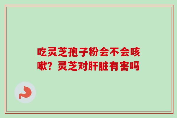吃灵芝孢子粉会不会咳嗽？灵芝对肝脏有害吗