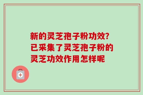 新的灵芝孢子粉功效?已采集了灵芝孢子粉的灵芝功效作用怎样呢 新的灵芝孢子粉功效?已采集了灵芝孢子粉的灵芝功效作用怎样呢