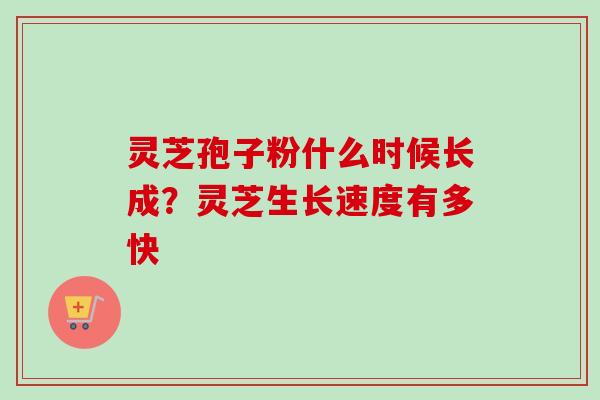 灵芝孢子粉什么时候长成？灵芝生长速度有多快