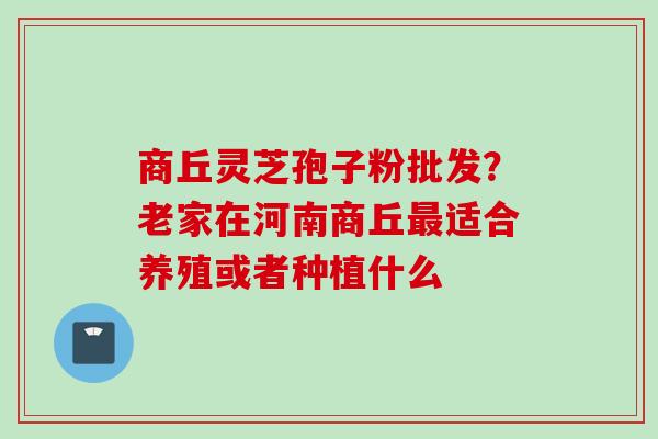 商丘灵芝孢子粉批发？老家在河南商丘适合养殖或者种植什么