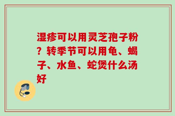 湿疹可以用灵芝孢子粉？转季节可以用龟、蝎子、水鱼、蛇煲什么汤好