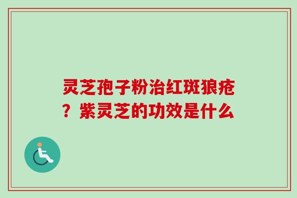 灵芝孢子粉治红斑狼疮？紫灵芝的功效是什么