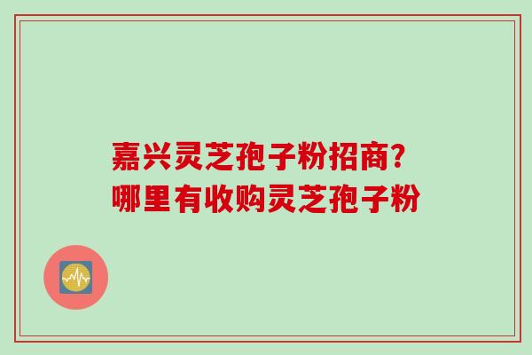嘉兴灵芝孢子粉招商？哪里有收购灵芝孢子粉