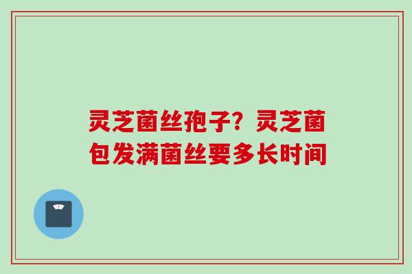 灵芝菌丝孢子？灵芝菌包发满菌丝要多长时间