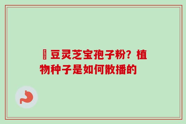 緑豆灵芝宝孢子粉？植物种子是如何散播的