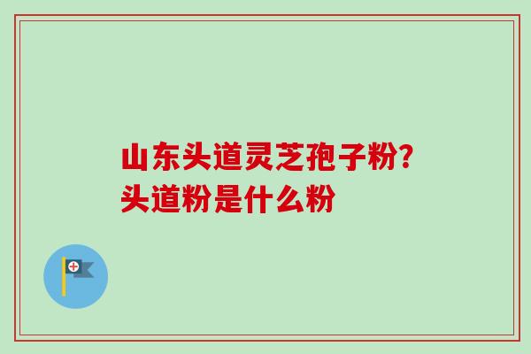 山东头道灵芝孢子粉？头道粉是什么粉