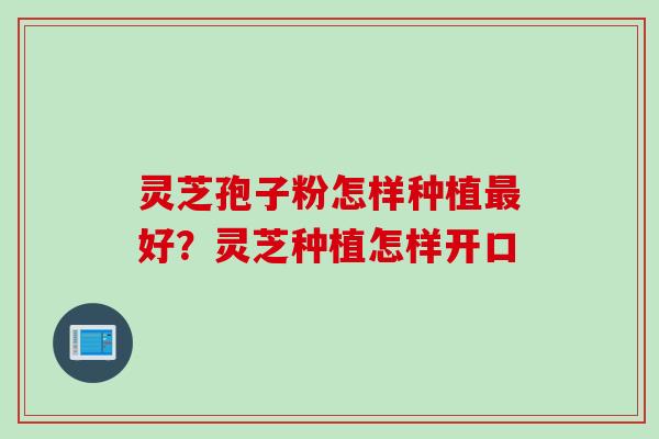 灵芝孢子粉怎样种植最好？灵芝种植怎样开口
