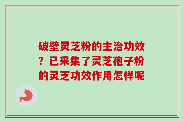 破壁灵芝粉的主治功效？已采集了灵芝孢子粉的灵芝功效作用怎样呢