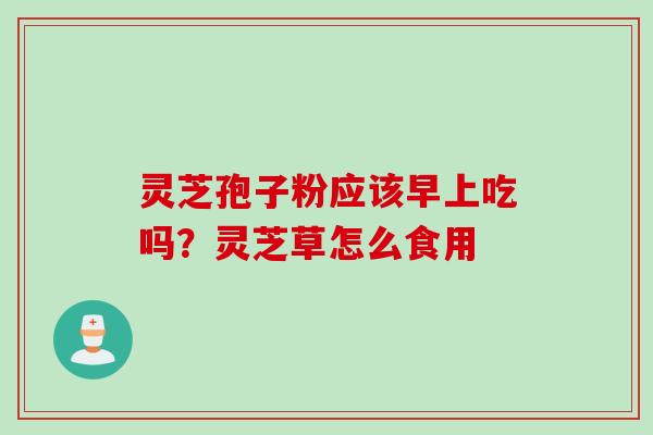 灵芝孢子粉应该早上吃吗？灵芝草怎么食用
