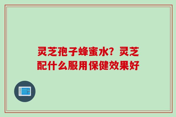 灵芝孢子蜂蜜水？灵芝配什么服用保健效果好