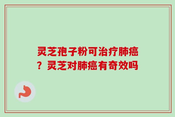 灵芝孢子粉可治疗肺癌？灵芝对肺癌有奇效吗