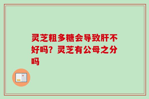 灵芝粗多糖会导致肝不好吗？灵芝有公母之分吗
