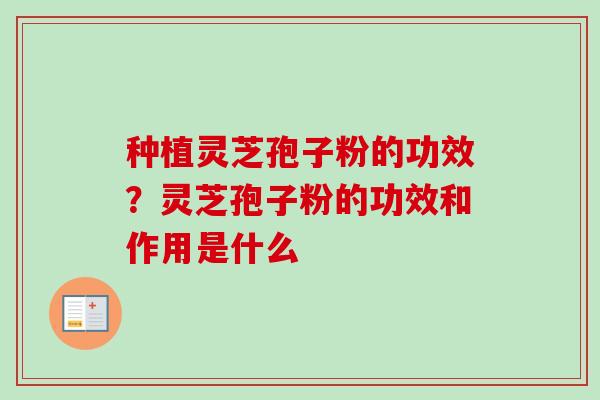 种植灵芝孢子粉的功效？灵芝孢子粉的功效和作用是什么