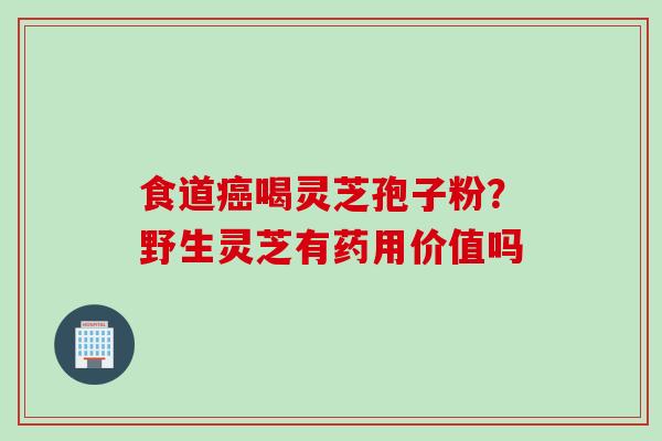 食道癌喝灵芝孢子粉？野生灵芝有药用价值吗