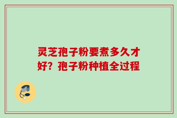 灵芝孢子粉要煮多久才好？孢子粉种植全过程