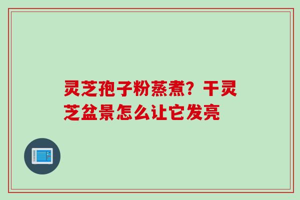 灵芝孢子粉蒸煮？干灵芝盆景怎么让它发亮