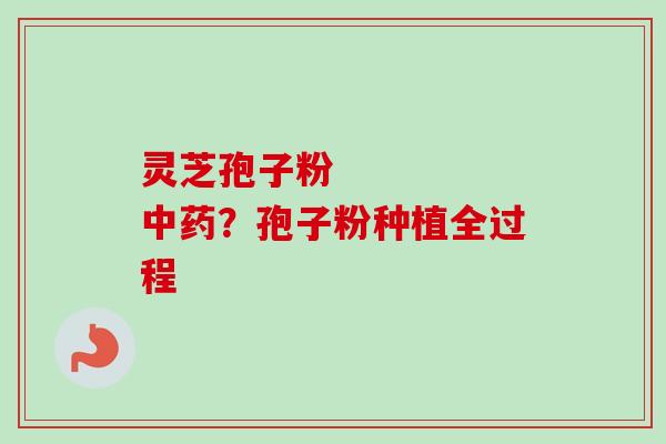 灵芝孢子粉     中药？孢子粉种植全过程