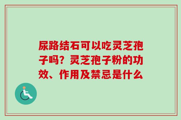 尿路结石可以吃灵芝孢子吗？灵芝孢子粉的功效、作用及禁忌是什么