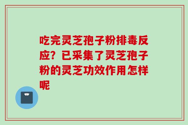 吃完灵芝孢子粉反应？已采集了灵芝孢子粉的灵芝功效作用怎样呢