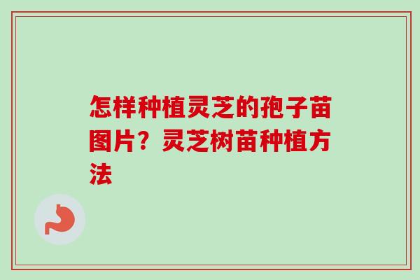 怎样种植灵芝的孢子苗图片？灵芝树苗种植方法