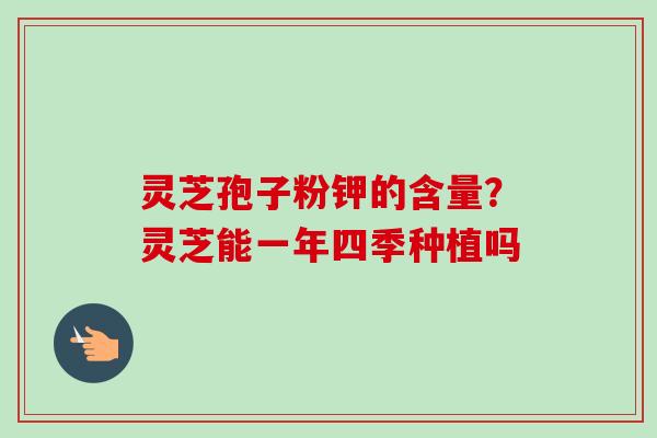 灵芝孢子粉钾的含量？灵芝能一年四季种植吗