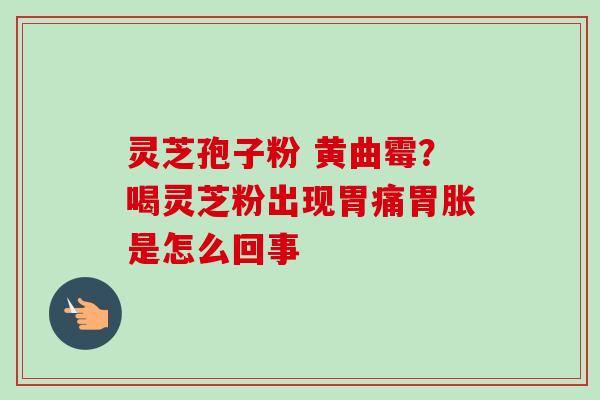 灵芝孢子粉 黄曲霉？喝灵芝粉出现胃痛胃胀是怎么回事